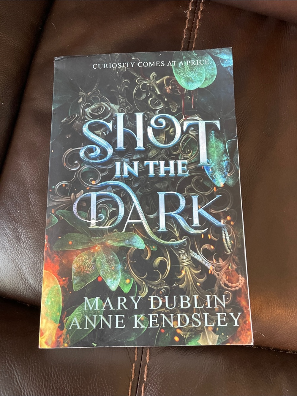Shot in the Dark by Mary Dublin & Anne Kendsley - Book One